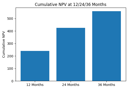 累计 NPV 柱状图